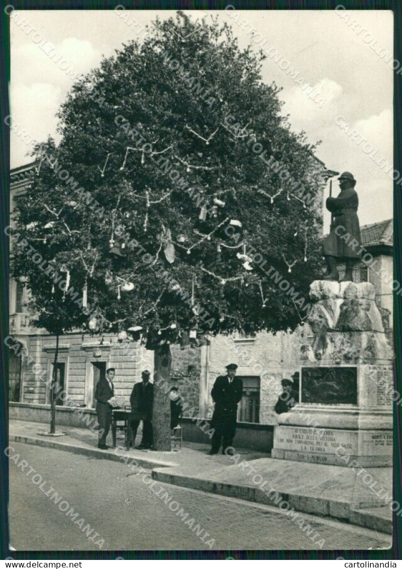 Pescara Tocco Casauria Albero Di Natale Foto FG Cartolina ZK5359 - Pescara