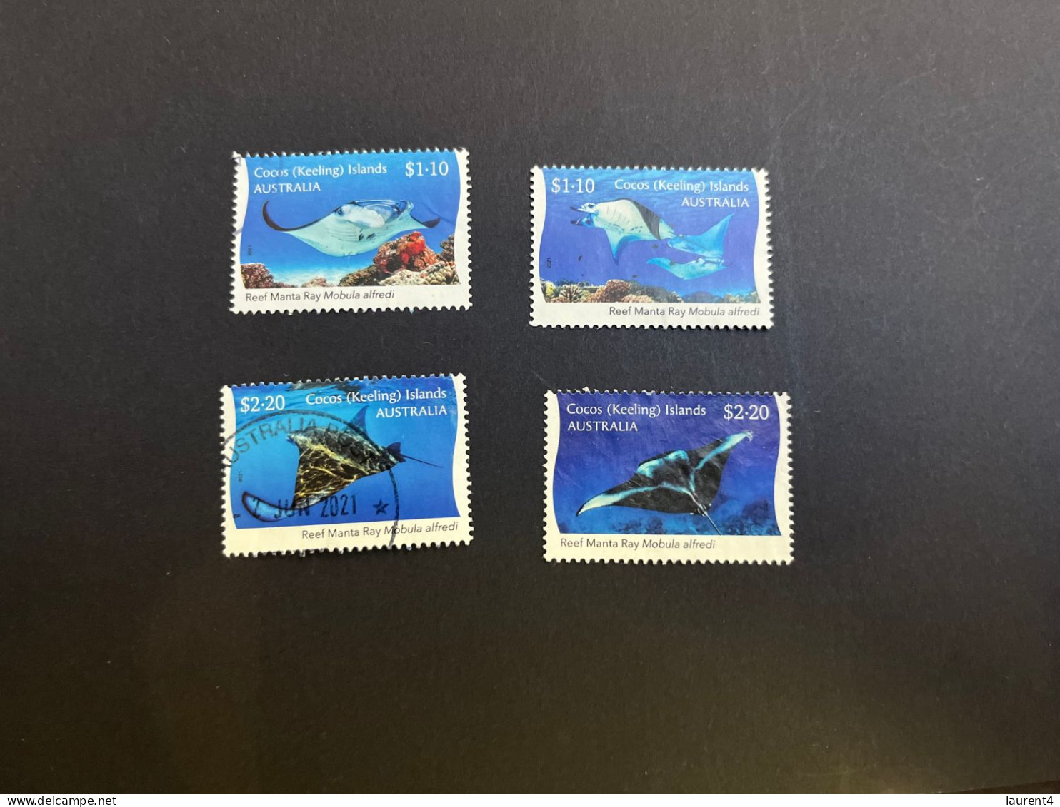 21-4-2024 (stamp) Australia Cocos Keeling Island (ued) 4 Manta Ray Stamps - Fish - Cocoseilanden