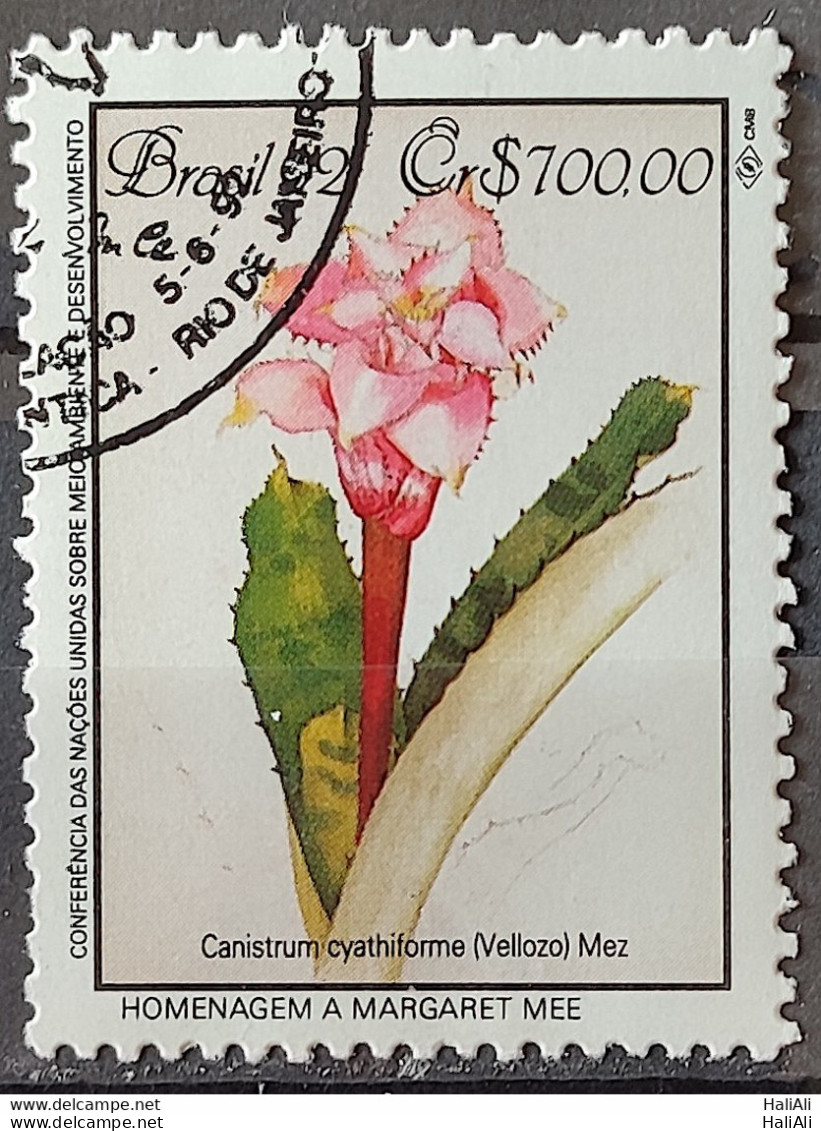 C 1808 Brazil Stamp Conference Environment Mata Atlantica Margaret Mee Canistrum 1992 Circulated 4 - Gebraucht