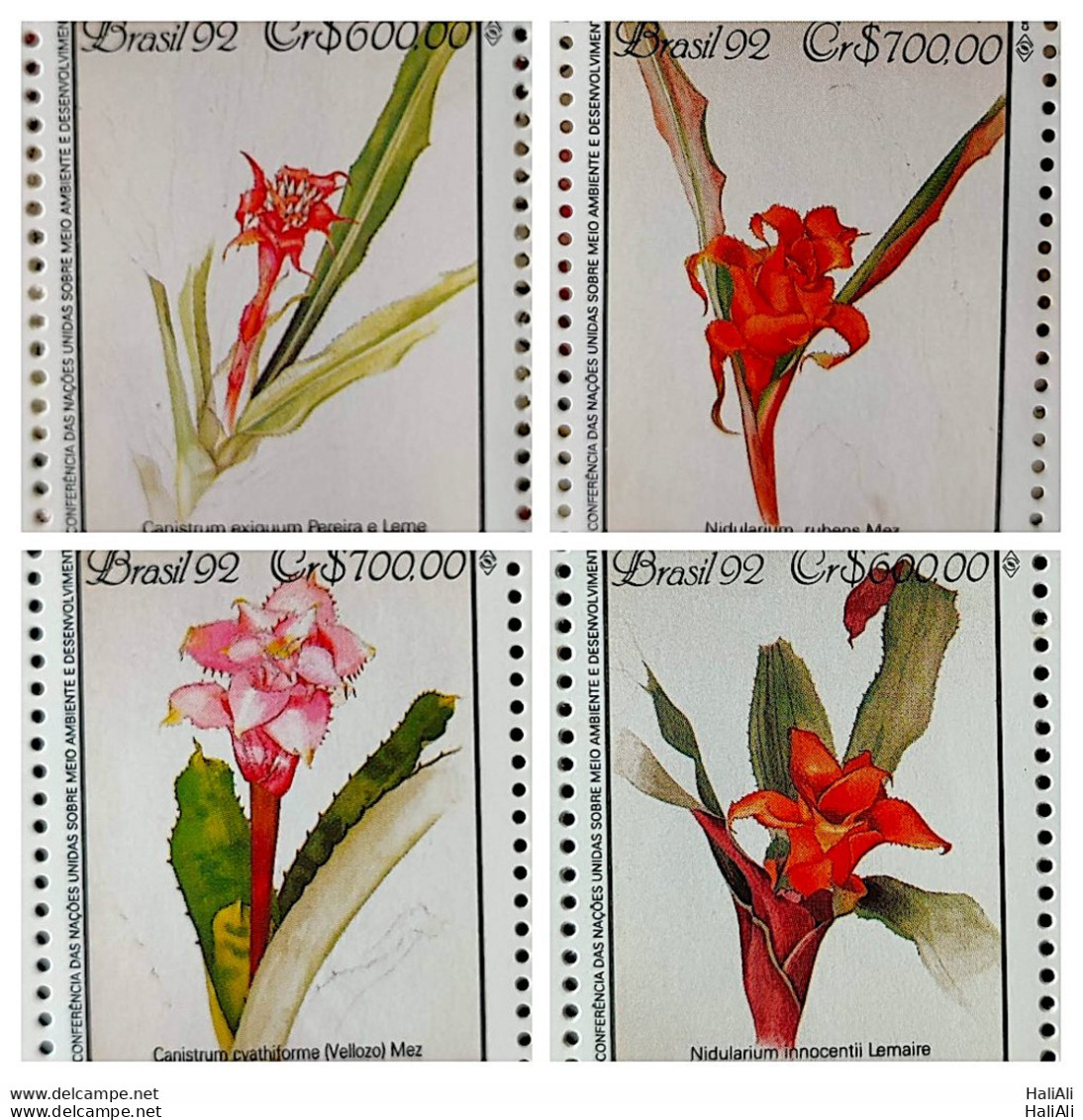 C 1805 Brazil Stamp Conference Environment Mata Atlantica Margaret 1992 Complete Series - Ungebraucht