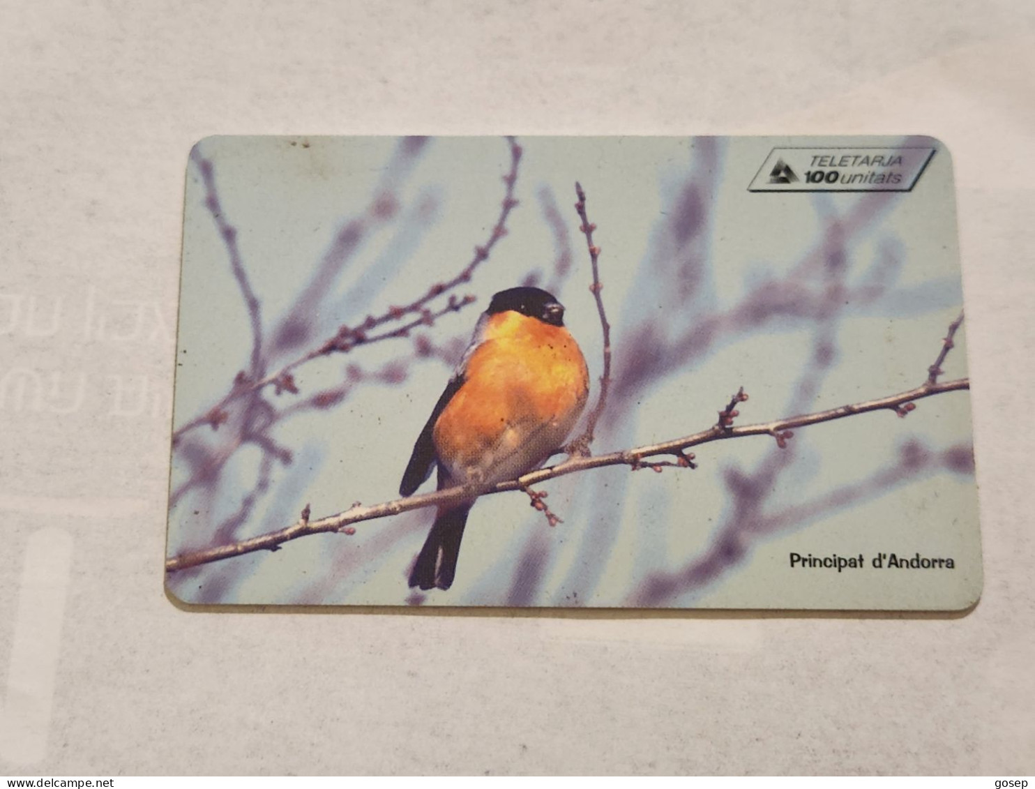 ANDORRA-(AD-STA-102)-Bullfinch-(13)(100units)-(01/03/99)(tirage-20.000)used Card+1card - Andorre