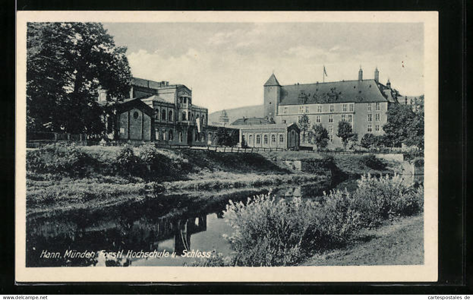 AK Hann. Münden, Forstl. Hochschule Mit Schloss  - Hannoversch Muenden