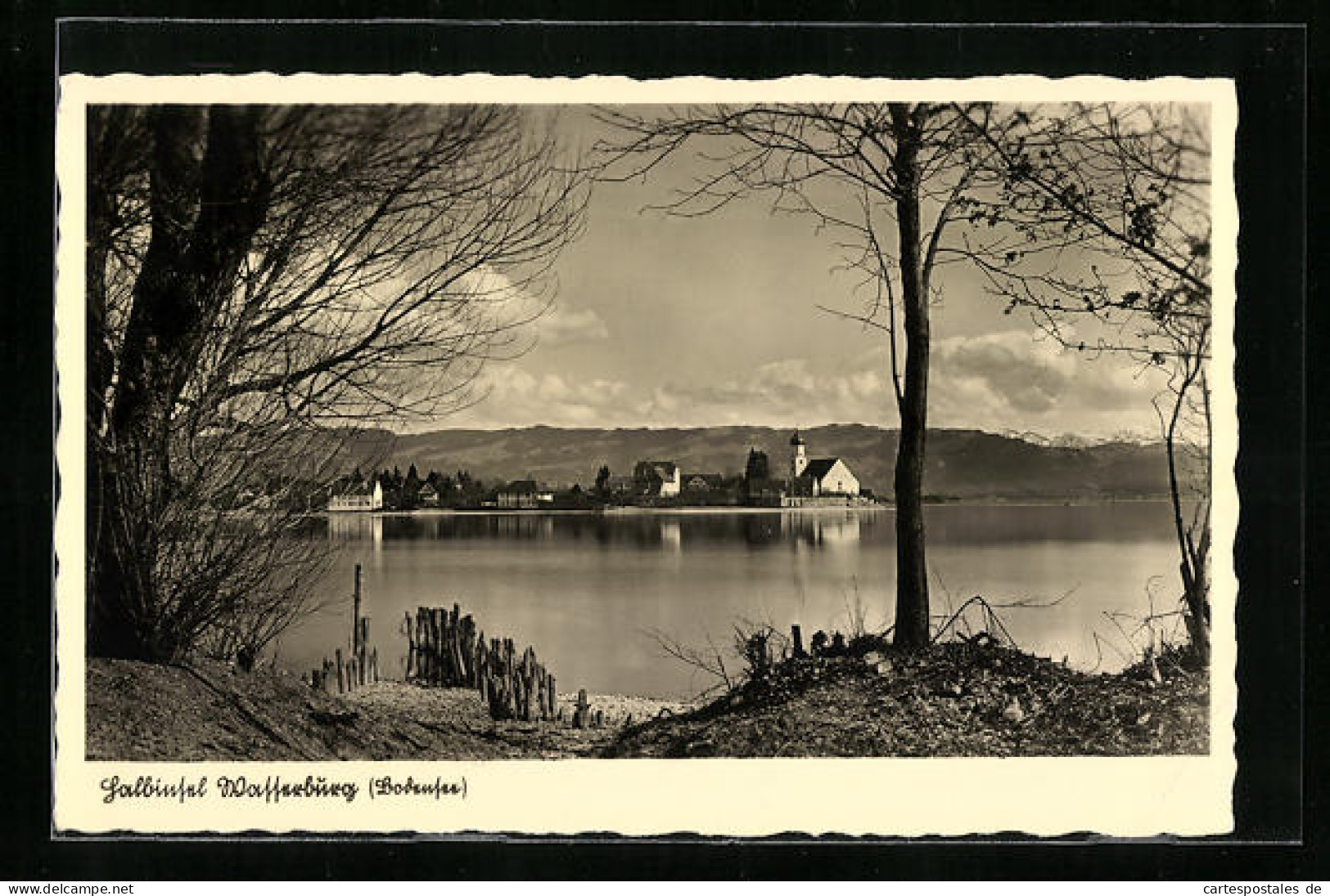 AK Wasserburg / Bodensee, Panorama Der Halbinsel  - Wasserburg (Bodensee)