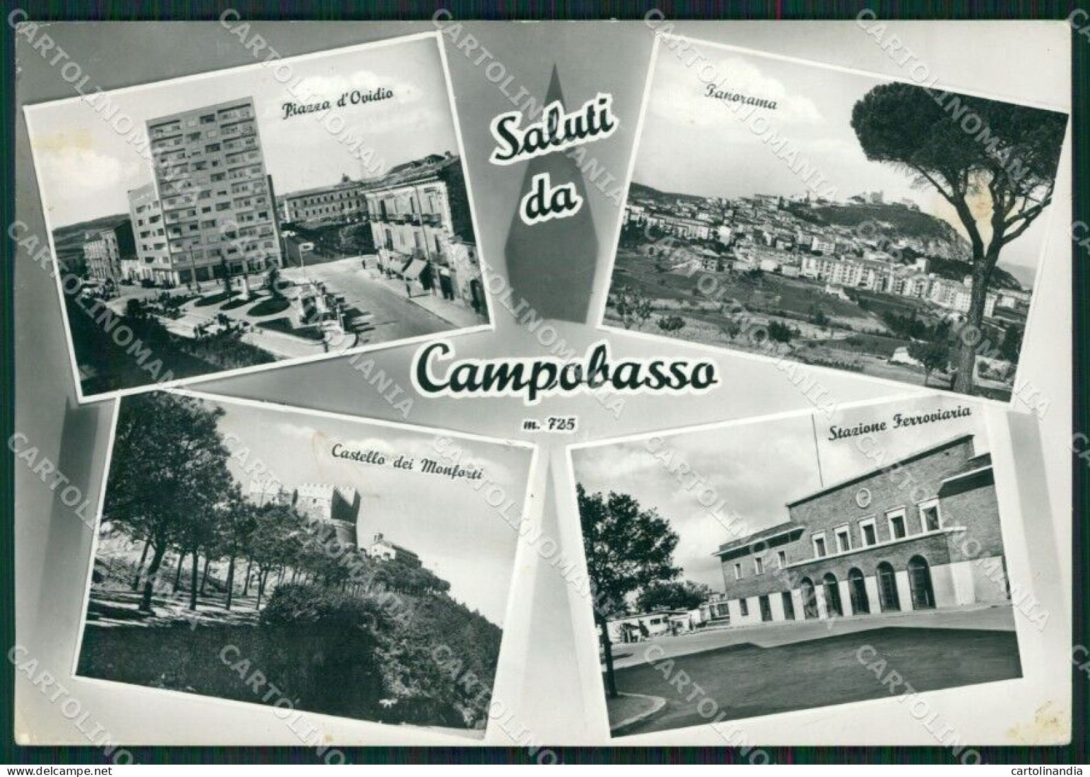 Campobasso Città Saluti Da Foto FG Cartolina ZKM7511 - Campobasso