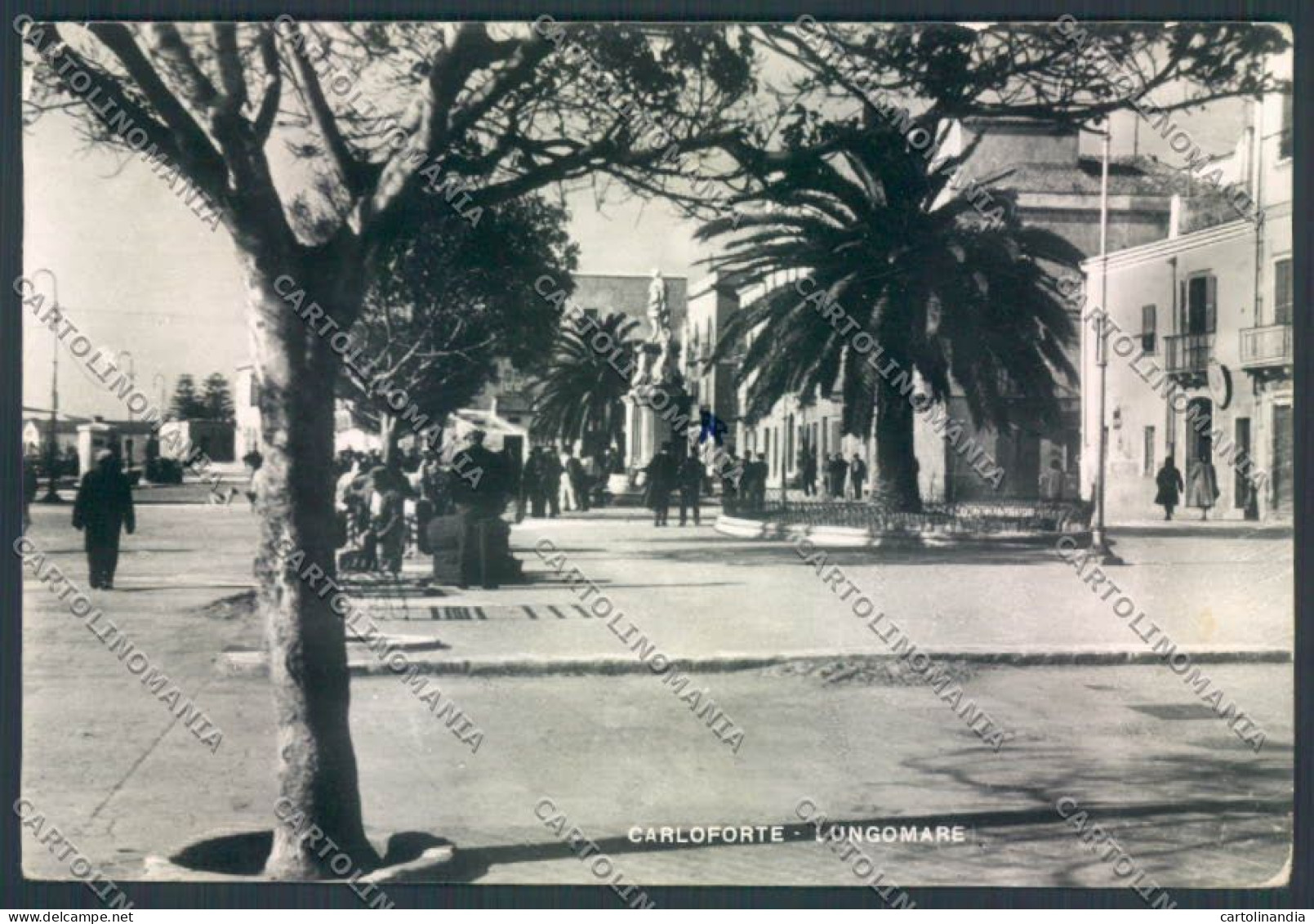 Cagliari Carloforte PIEGHINA Foto FG Cartolina ZF6624 - Cagliari