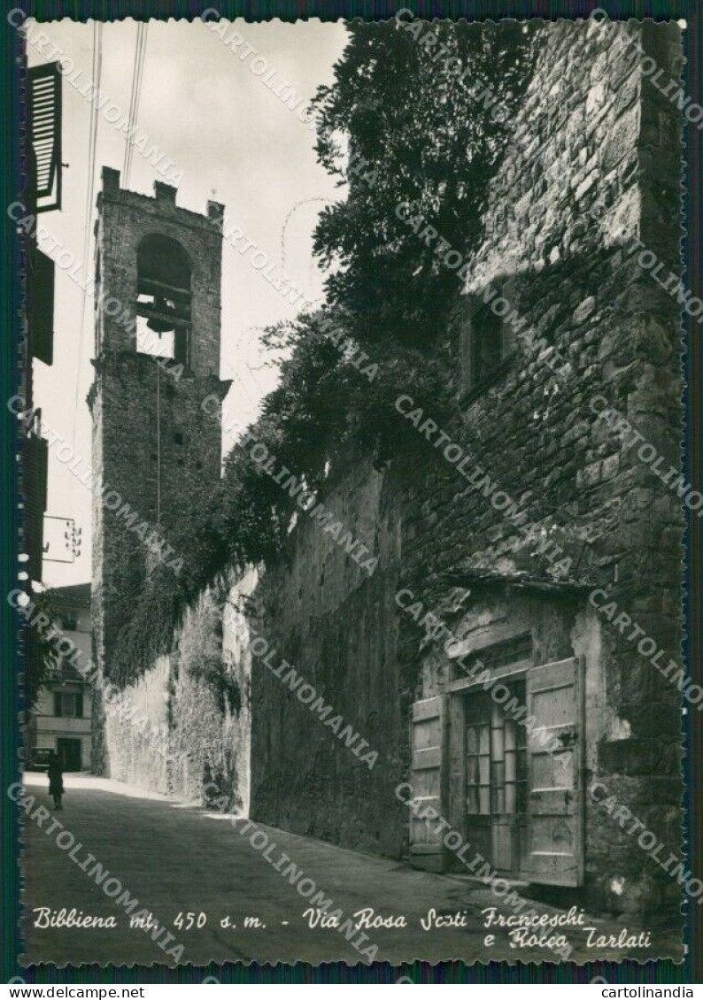 Arezzo Bibbiena Foto FG Cartolina ZKM8290 - Arezzo