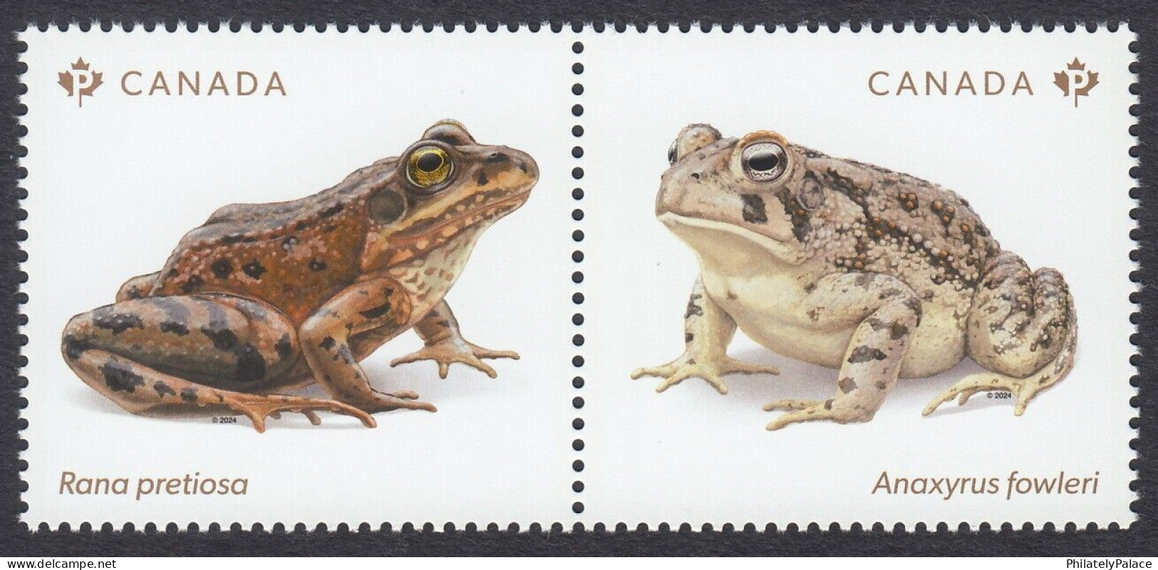 Canada 2024, Endangered Animal, Reptile, Frog, Pond, Leaf,  2v Setenant MNH(**) - Ongebruikt