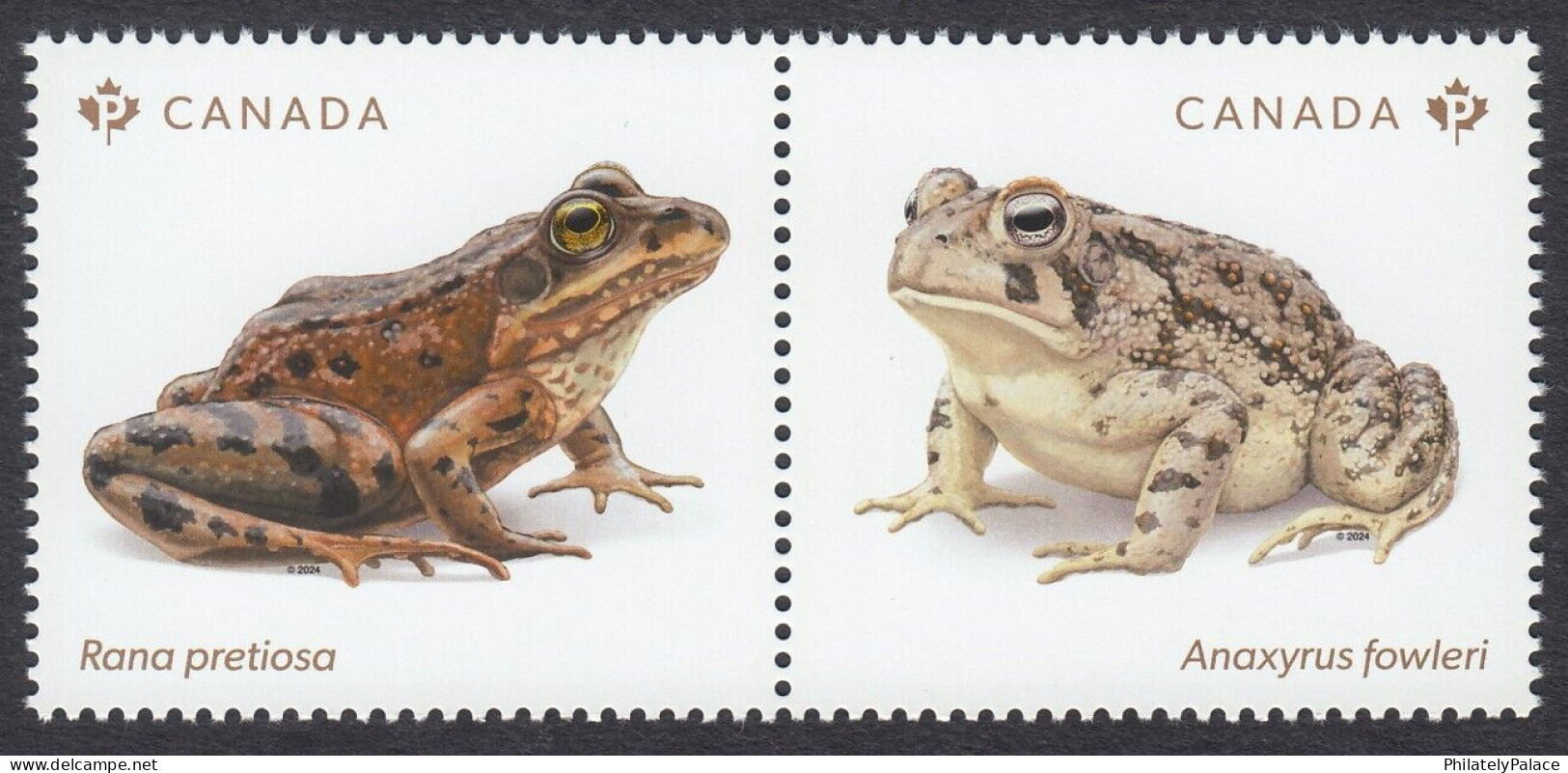 Canada 2024, Endangered Animal, Reptile, Frog, Pond, Leaf,  2v Setenant MNH(**) - Unused Stamps