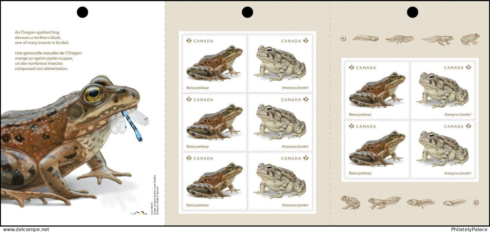 Canada 2024, Endangered Animal, Reptile, Frog, Pond, Dragonfly, Insect,Booklet Of 10v Stamps, MNH (**) - Nuovi