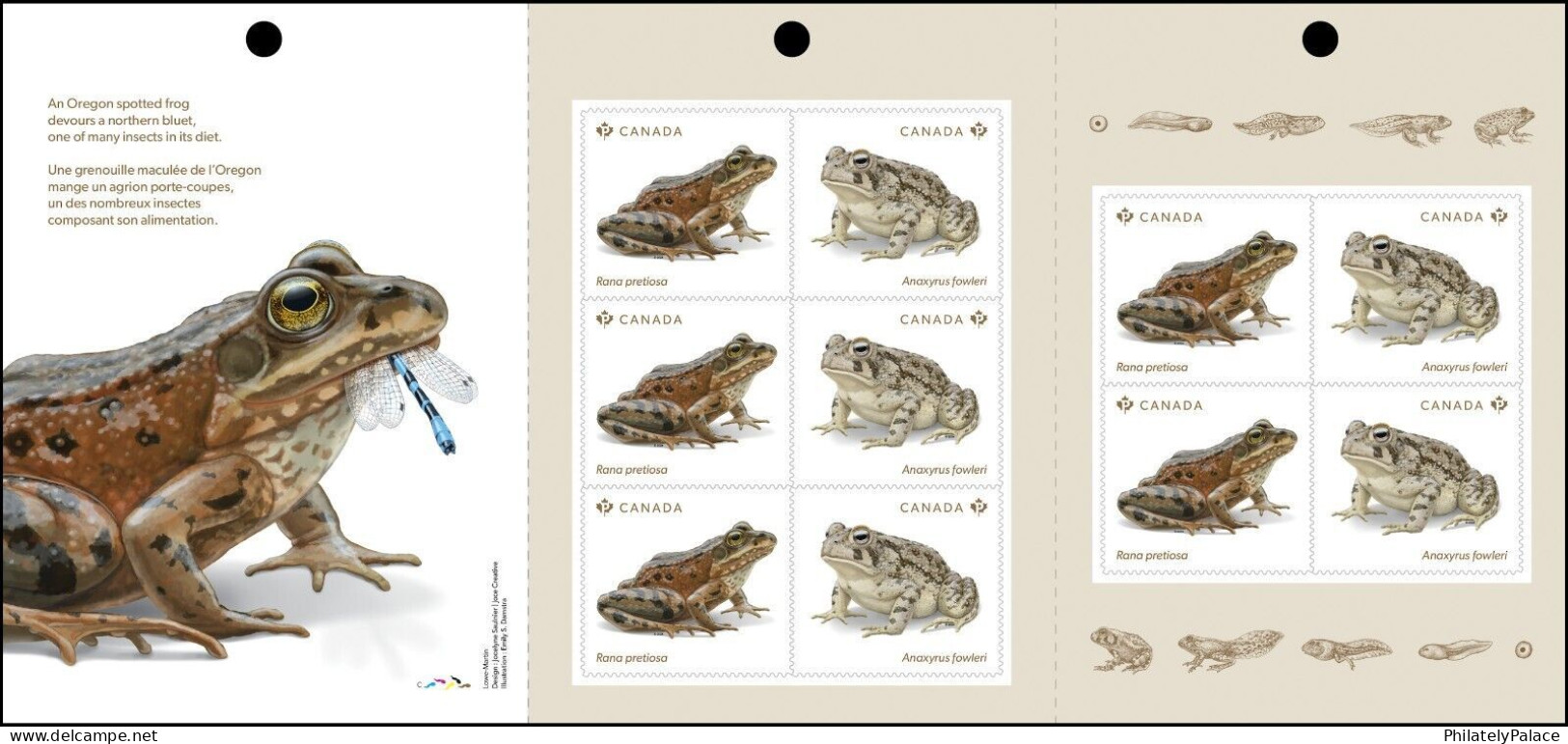 Canada 2024, Endangered Animal, Reptile, Frog, Pond, Dragonfly, Insect,Booklet Of 10v Stamps, MNH (**) - Unused Stamps
