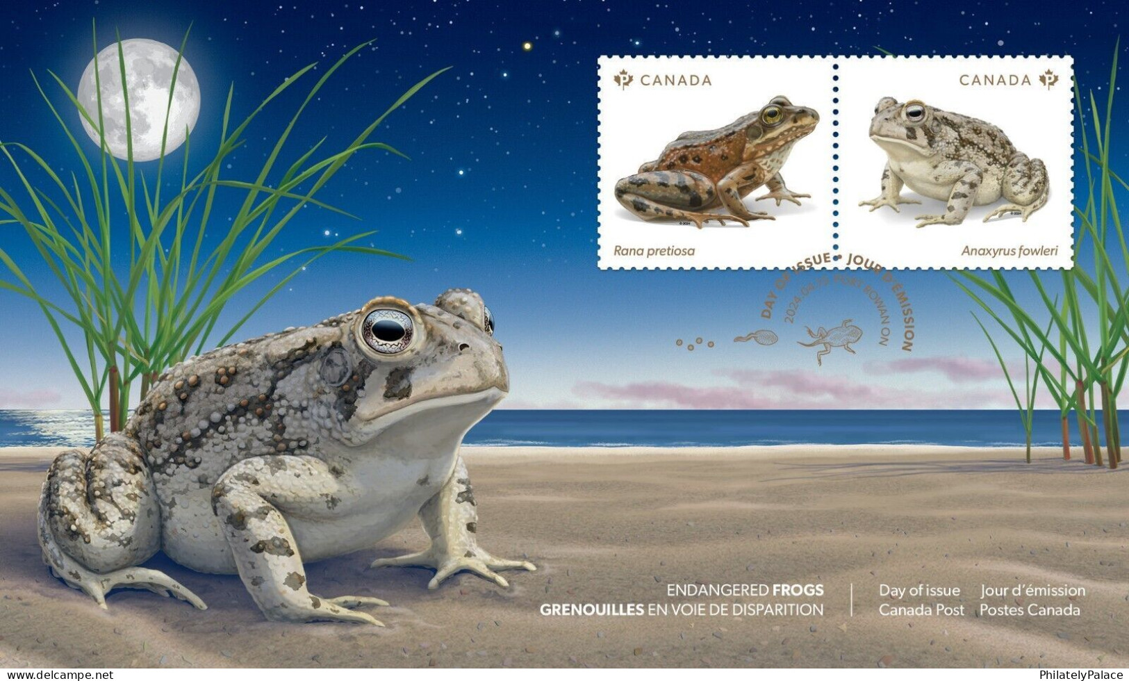 Canada 2024, Endangered Animal, Reptile, Frog, Pond, Leaf,Toad, Egg,Moon, FDC Cover (**) - Briefe U. Dokumente