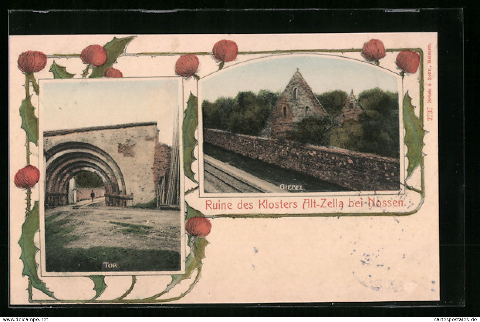 AK Nossen, Ruine Des Klosters Alt-Zella  - Nossen