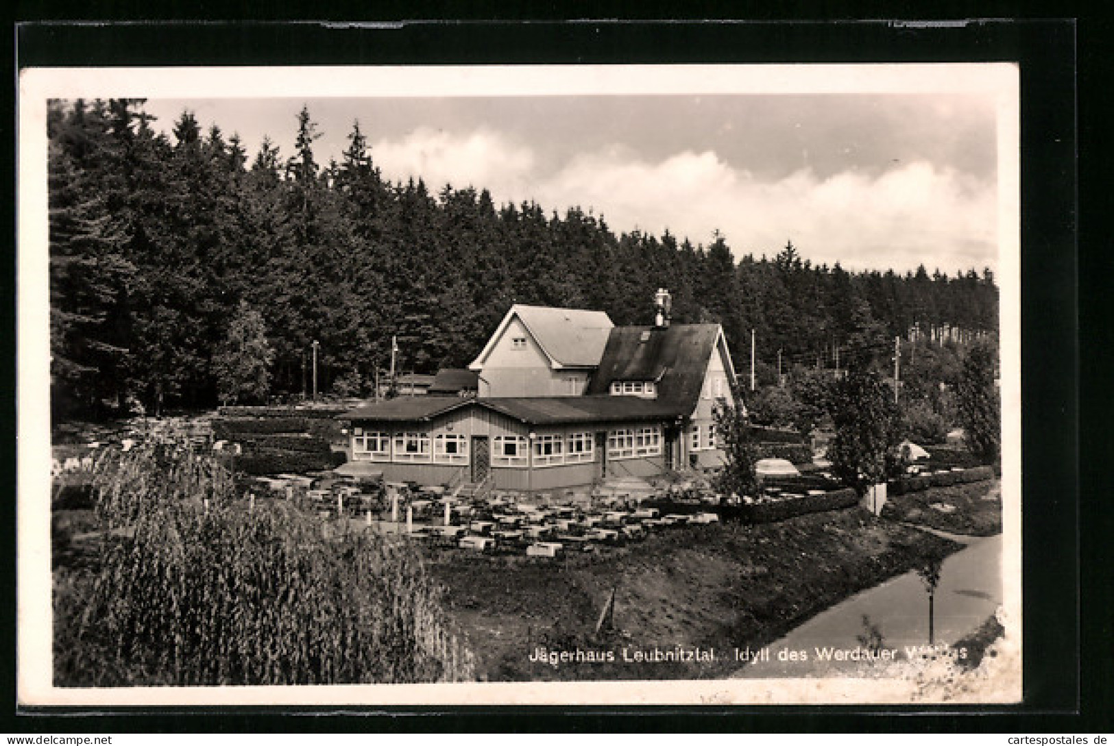 AK Werdau, Jägerhaus Leubnitztal Im Werdauer Wald  - Werdau