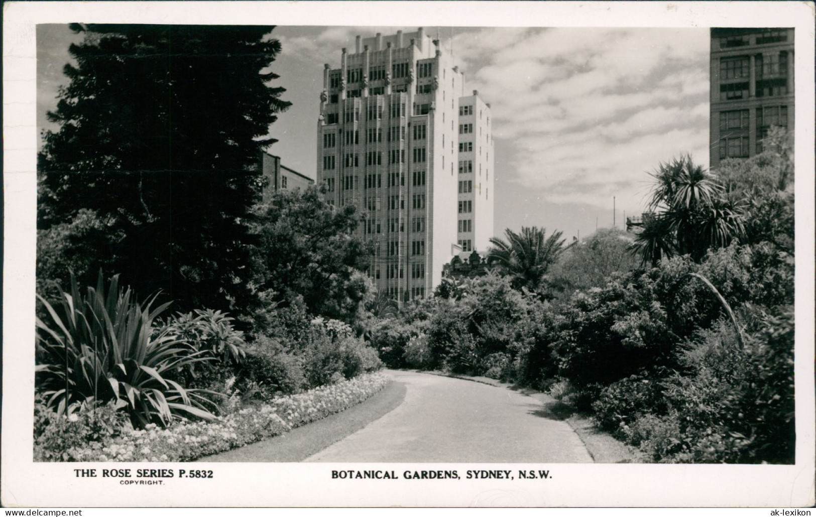 Postcard Sydney Botanical Gardens, Hochhäuser - Fotokarte 1946 - Sydney