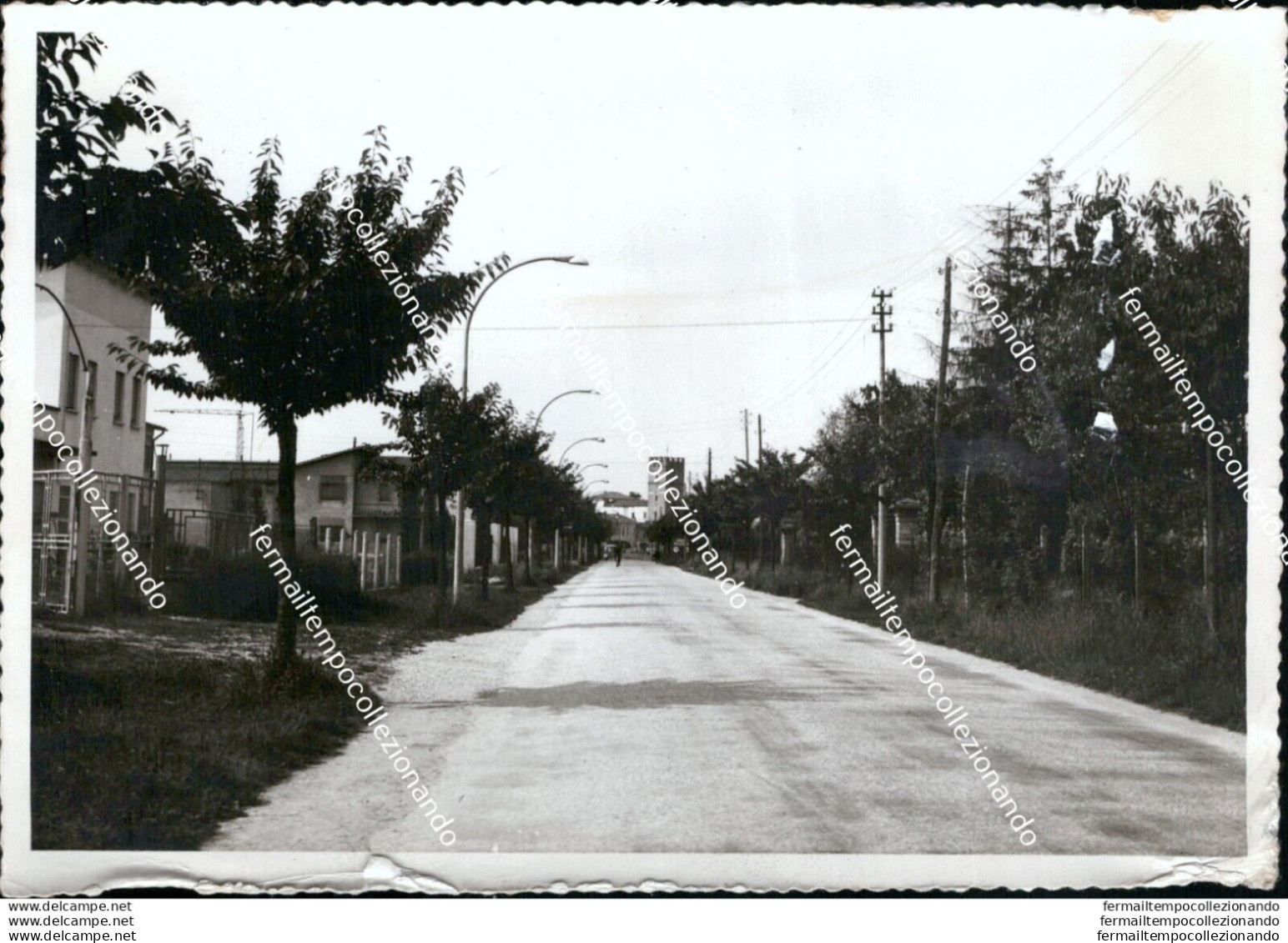 Au331 Bozza Fotografica Arqua' Polesine Provincia Di Rovigo - Rovigo