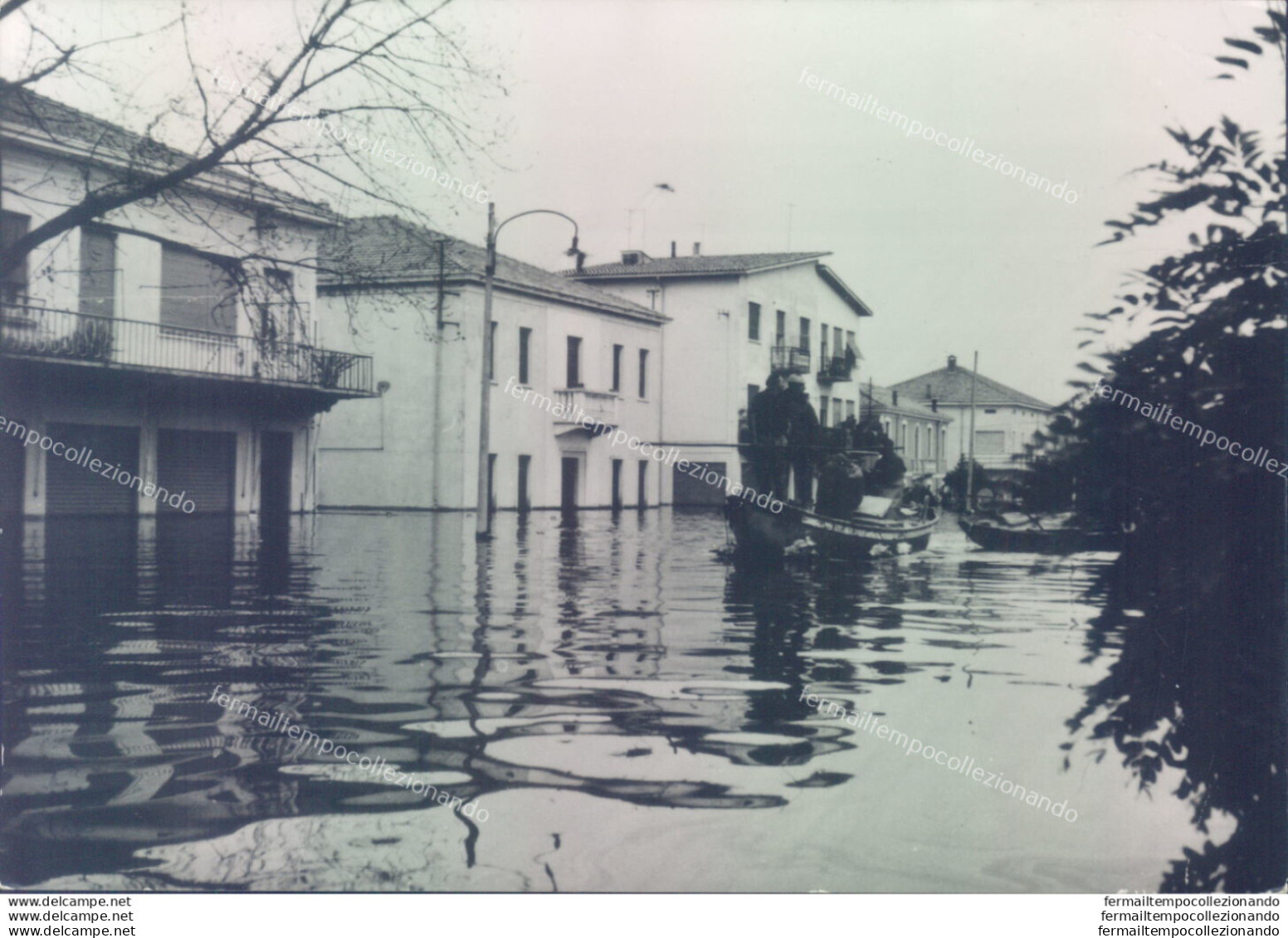 Ag562 Cartolina Porto Tolle Alluvione Provincia Di Rovigo - Rovigo