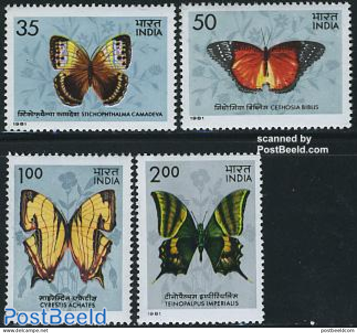 India 1981 Butterflies 4v, Mint NH, Nature - Butterflies - Nuovi