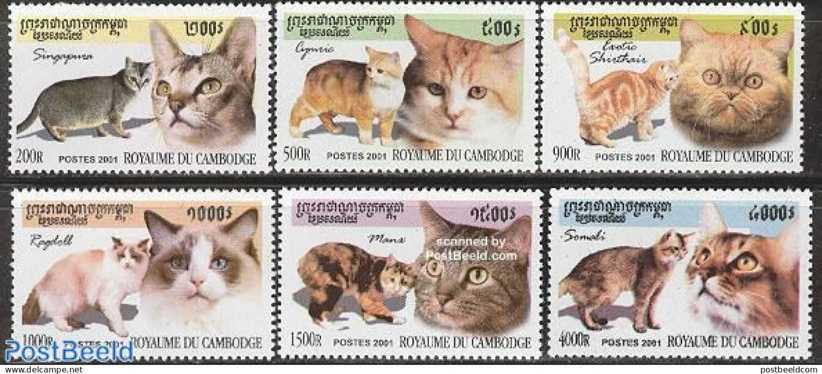 Cambodia 2001 Cats 6v, Mint NH, Nature - Cats - Kambodscha