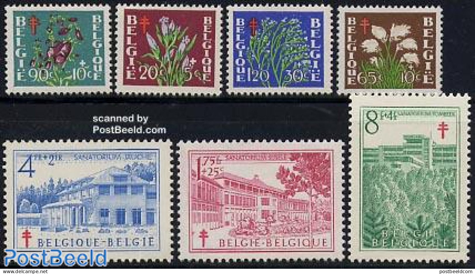 Belgium 1950 Anti Tuberculosis 7v, Mint NH, Health - Nature - Anti Tuberculosis - Flowers & Plants - Nuovi