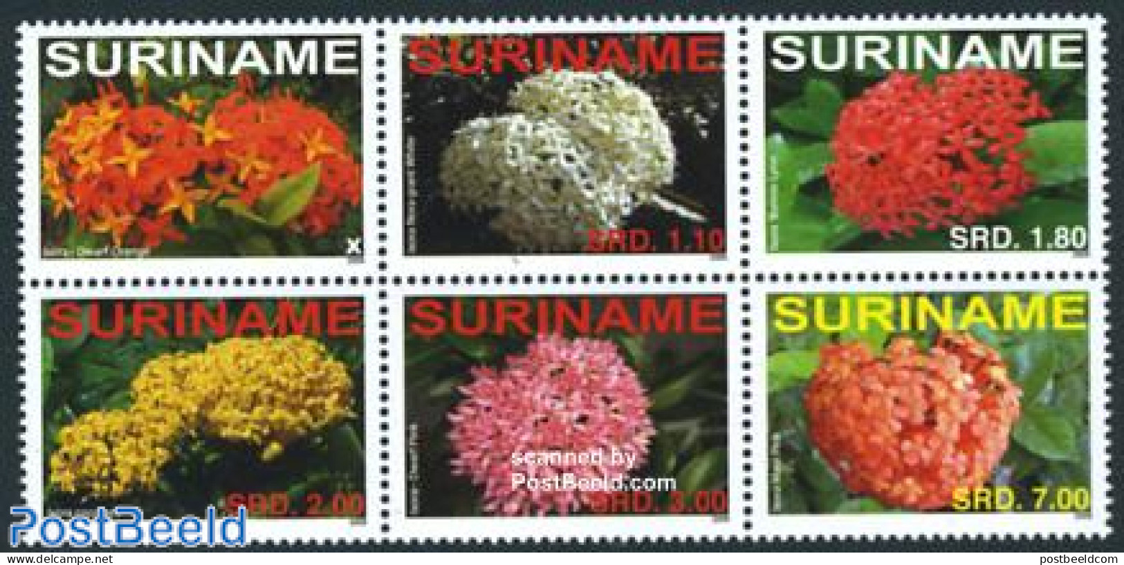 Suriname, Republic 2008 Flowers 6v [++], Mint NH, Nature - Flowers & Plants - Suriname