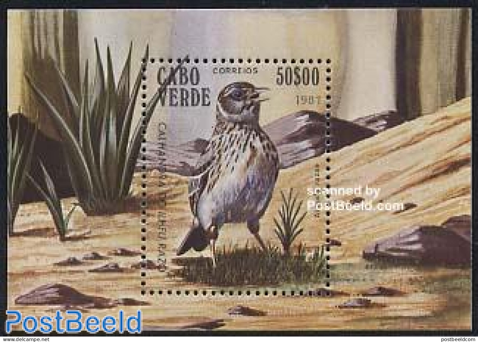 Cape Verde 1981 Birds S/s, Mint NH, Nature - Birds - Cape Verde