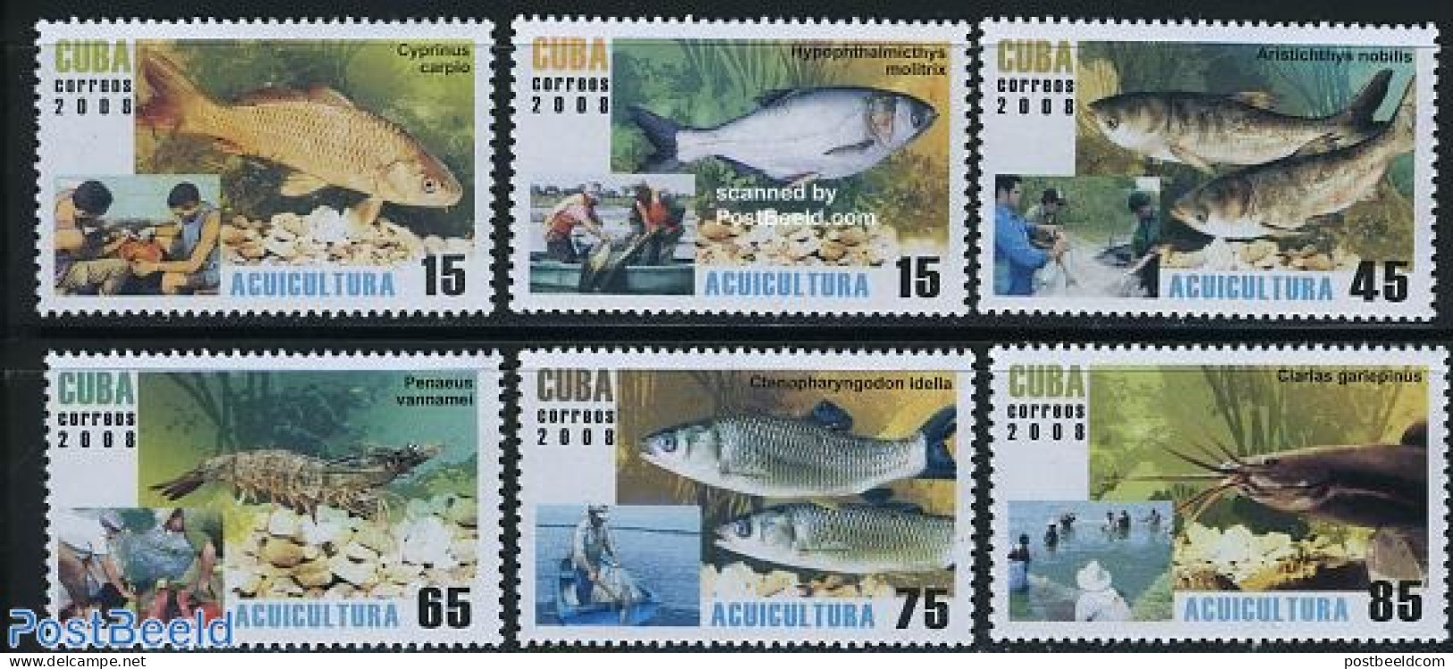 Cuba 2008 Water Culture, Fish 6v, Mint NH, Nature - Transport - Fish - Fishing - Ships And Boats - Nuevos