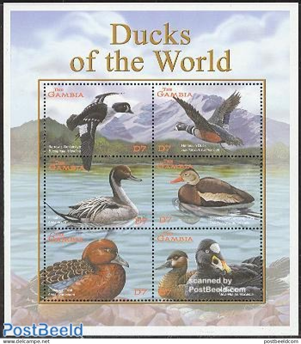 Gambia 2001 Ducks 6v M/s, Mint NH, Nature - Birds - Ducks - Gambia (...-1964)