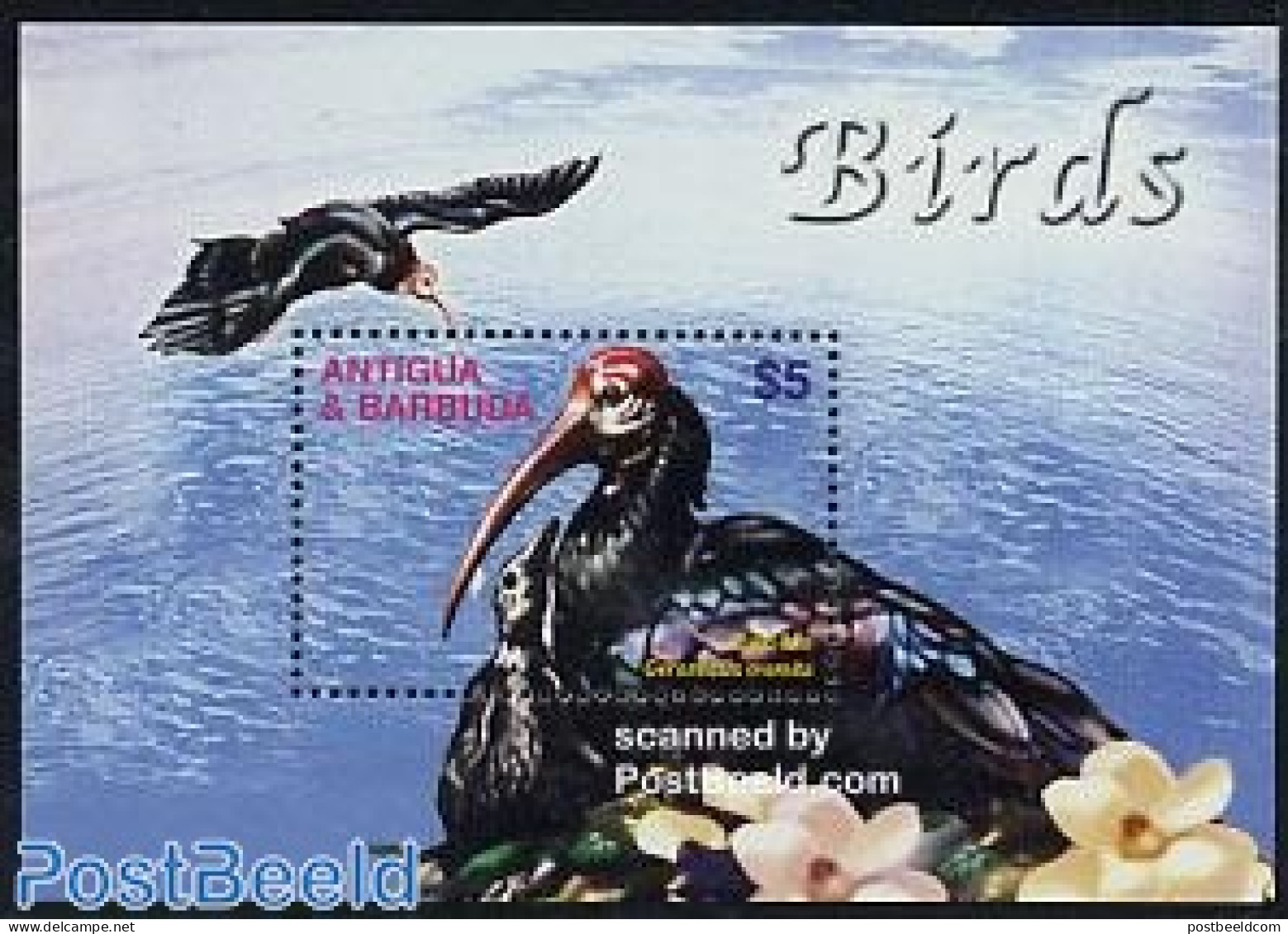 Antigua & Barbuda 2004 Bald Ibis S/s, Mint NH, Nature - Birds - Antigua And Barbuda (1981-...)