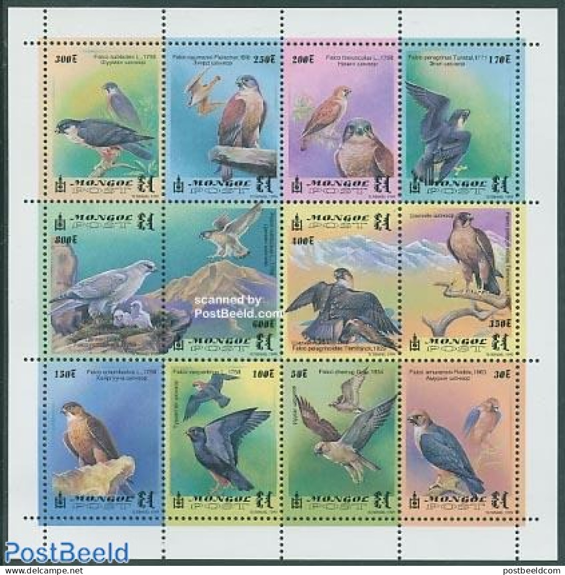 Mongolia 1999 Falcons 12v M/s, Mint NH, Nature - Birds - Birds Of Prey - Mongolië