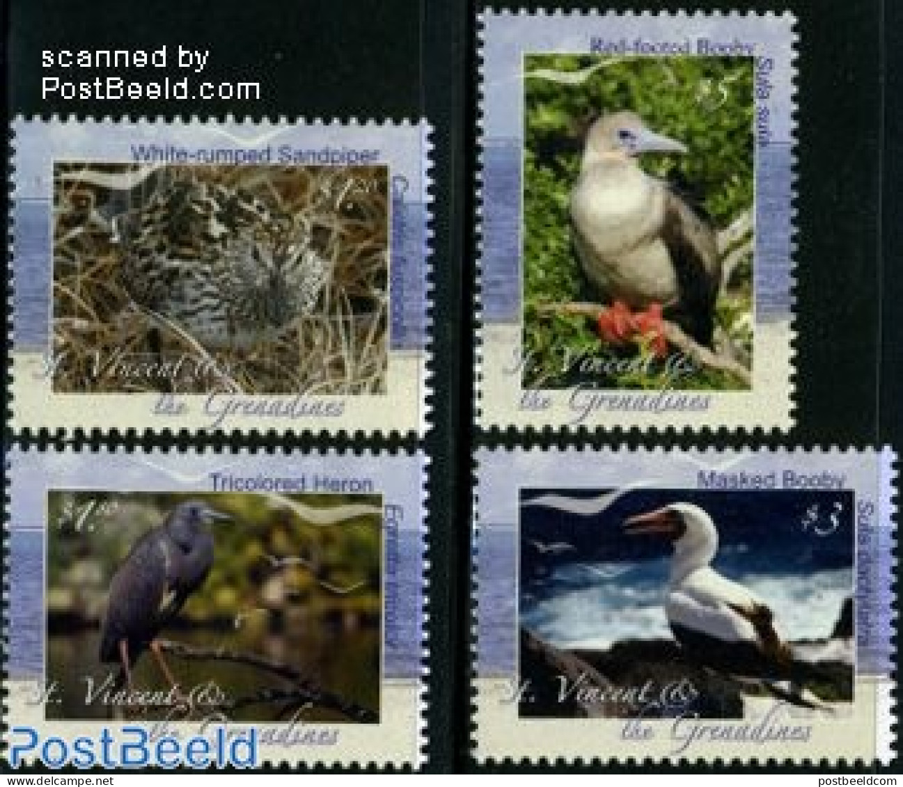 Saint Vincent 2009 Seabirds 4v, Mint NH, Nature - Birds - St.Vincent (1979-...)