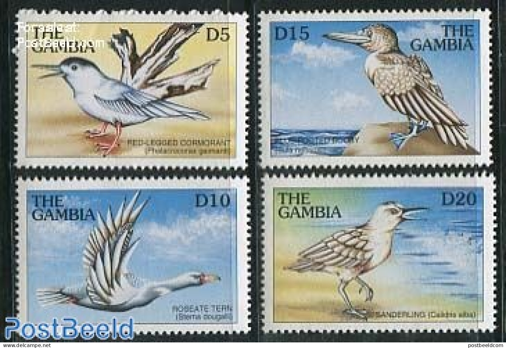 Gambia 1997 Sea Birds 4v, Mint NH, Nature - Birds - Geese - Gambia (...-1964)