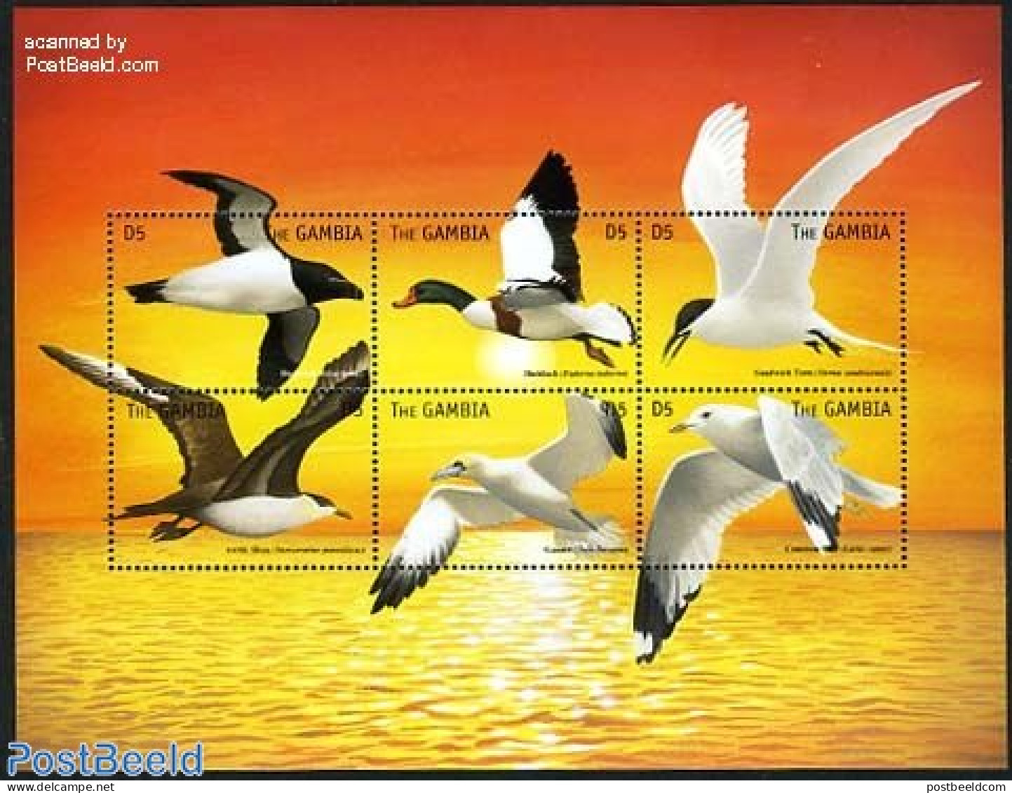 Gambia 1999 Sea Birds 6v M/s, Mint NH, Nature - Birds - Gambia (...-1964)