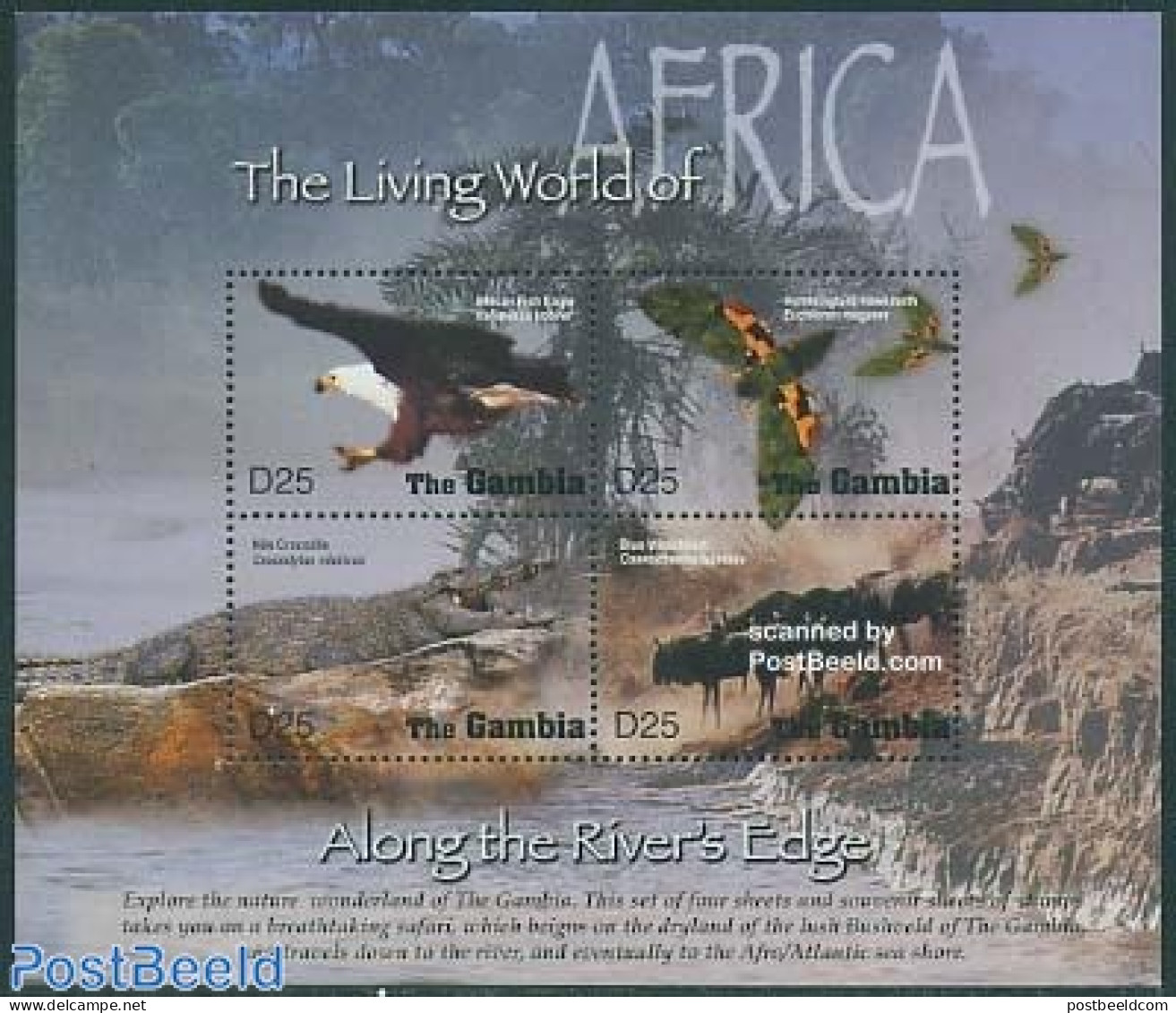 Gambia 2005 Living World Of Africa 4v M/s, Fish Eagle, Mint NH, Nature - Animals (others & Mixed) - Birds - Birds Of P.. - Gambie (...-1964)
