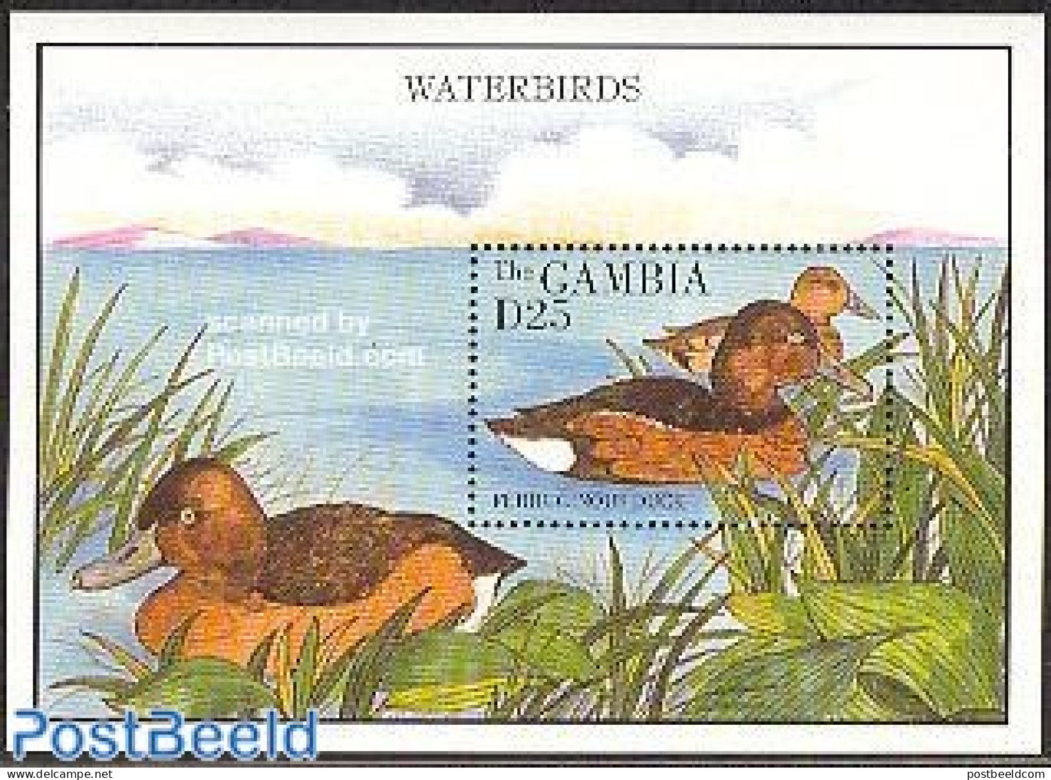 Gambia 1995 Ferruginous Duck S/s, Mint NH, Nature - Birds - Ducks - Gambie (...-1964)