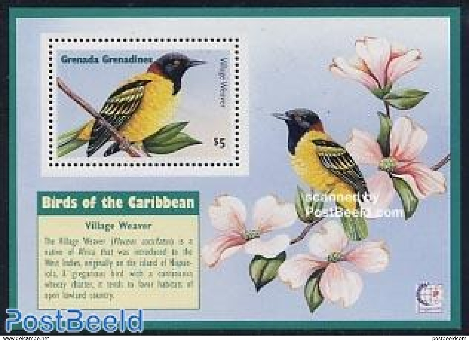 Grenada Grenadines 1995 Singapore/Village Weaver S/s, Mint NH, Nature - Birds - Grenada (1974-...)