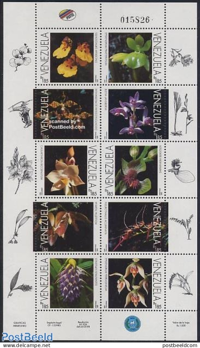 Venezuela 1998 Orchids 10v M/s, Mint NH, Nature - Flowers & Plants - Orchids - Venezuela