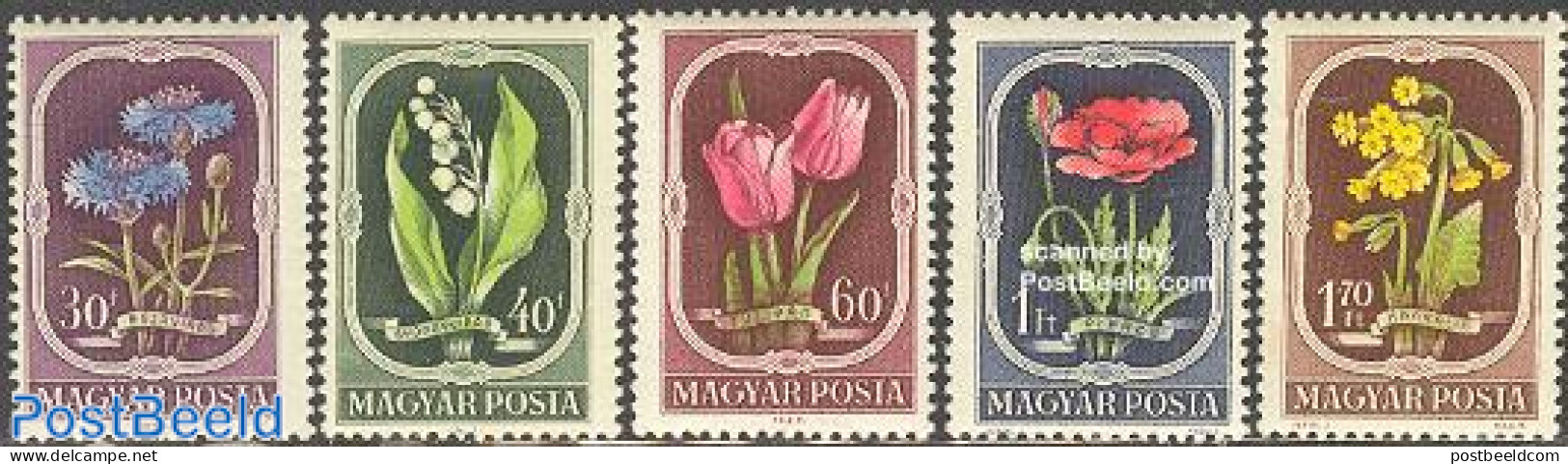 Hungary 1951 Flowers 5v, Mint NH, Nature - Flowers & Plants - Nuovi