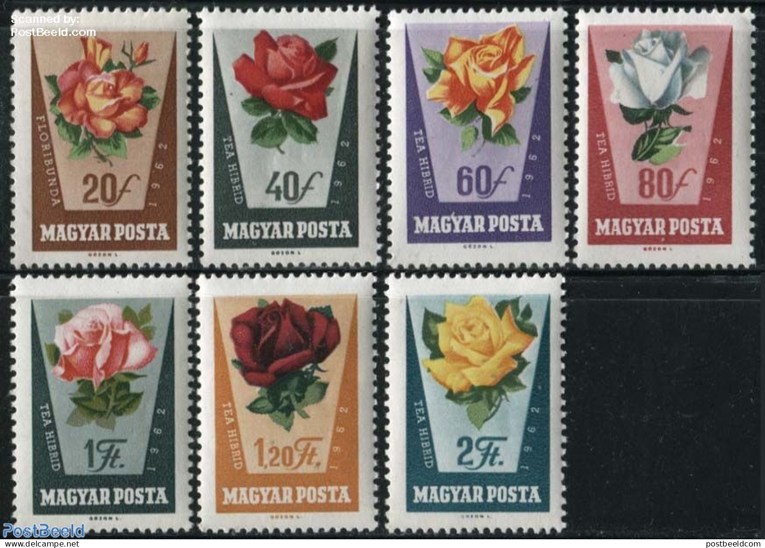 Hungary 1962 Roses 7v, Mint NH, Nature - Flowers & Plants - Roses - Nuevos