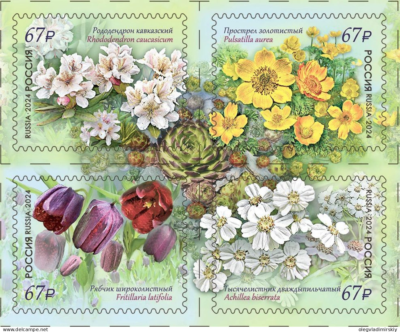 Russia Russland Russie 2024 Flowers Of The Caucasus Set Of 4 Stamps In Block 2x2 MNH - Unused Stamps