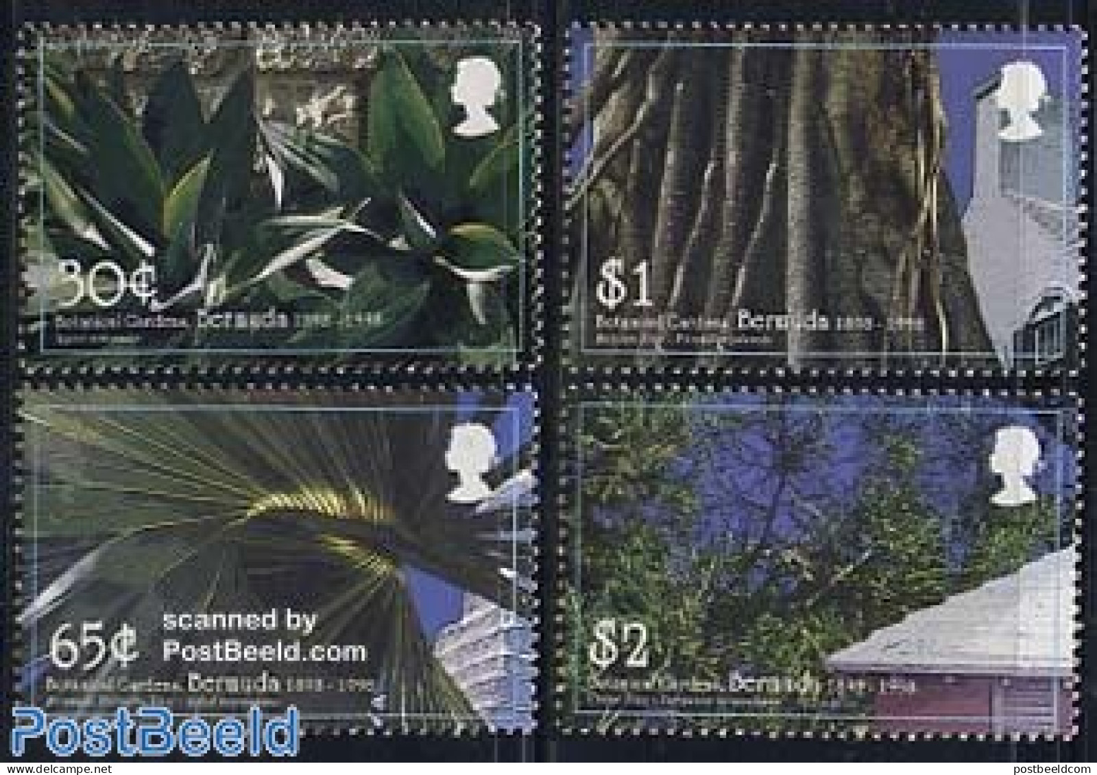 Bermuda 1998 Botanic Garden 4v, Mint NH, Nature - Flowers & Plants - Bermudes