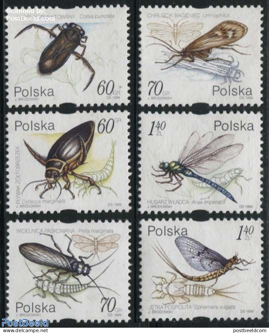 Poland 1999 Water Insects 6v, Mint NH, Nature - Insects - Ongebruikt