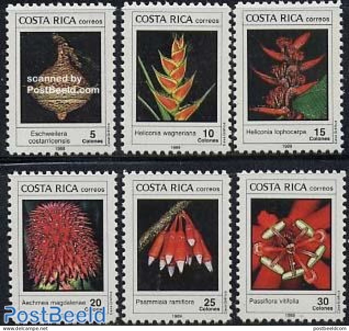 Costa Rica 1989 Plants 6v, Mint NH, Nature - Flowers & Plants - Costa Rica