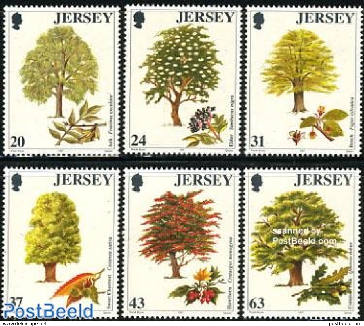 Jersey 1997 Trees 6v, Mint NH, Nature - Trees & Forests - Rotary, Lions Club