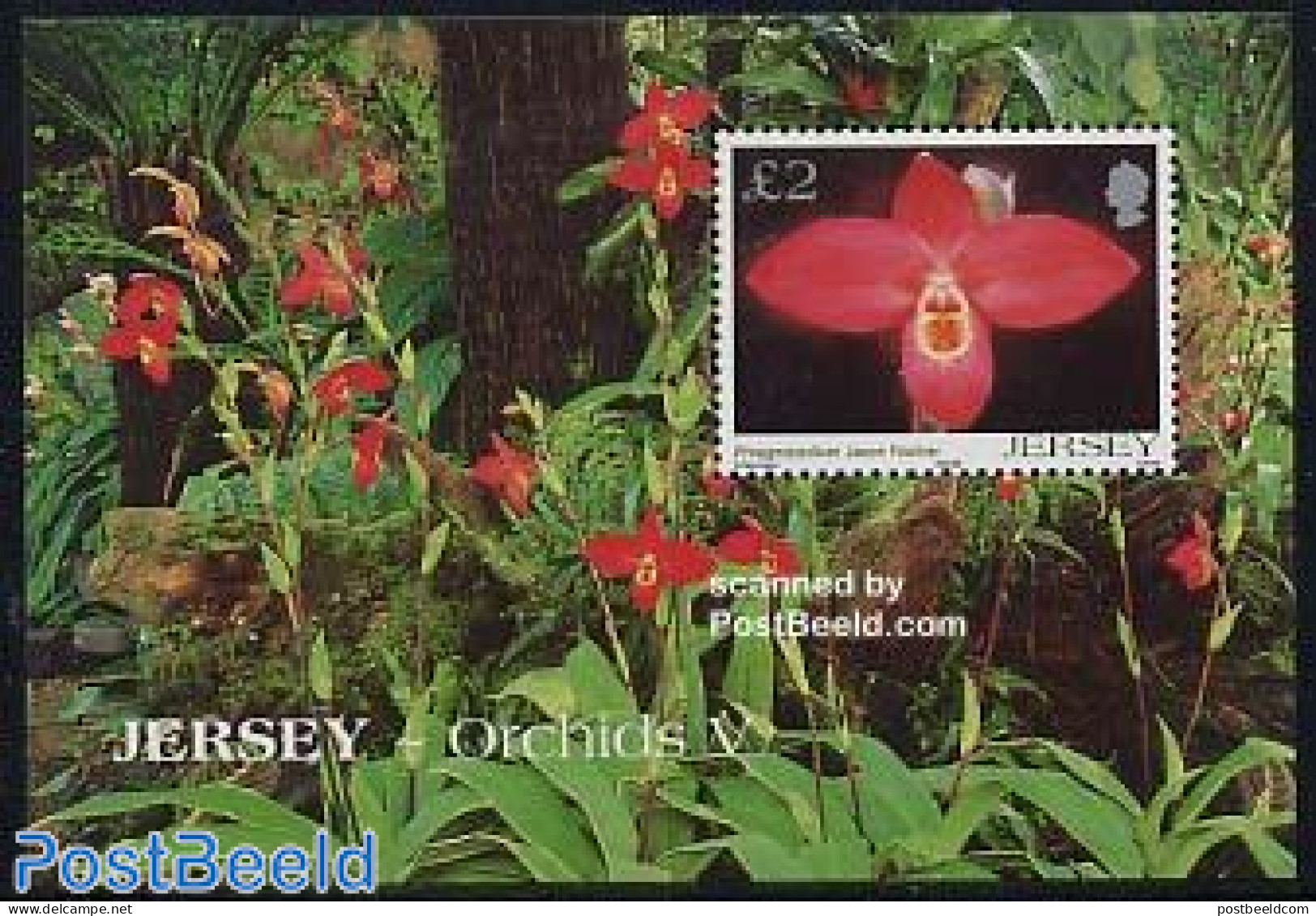 Jersey 2004 Orchids S/s, Mint NH, Nature - Flowers & Plants - Orchids - Jersey