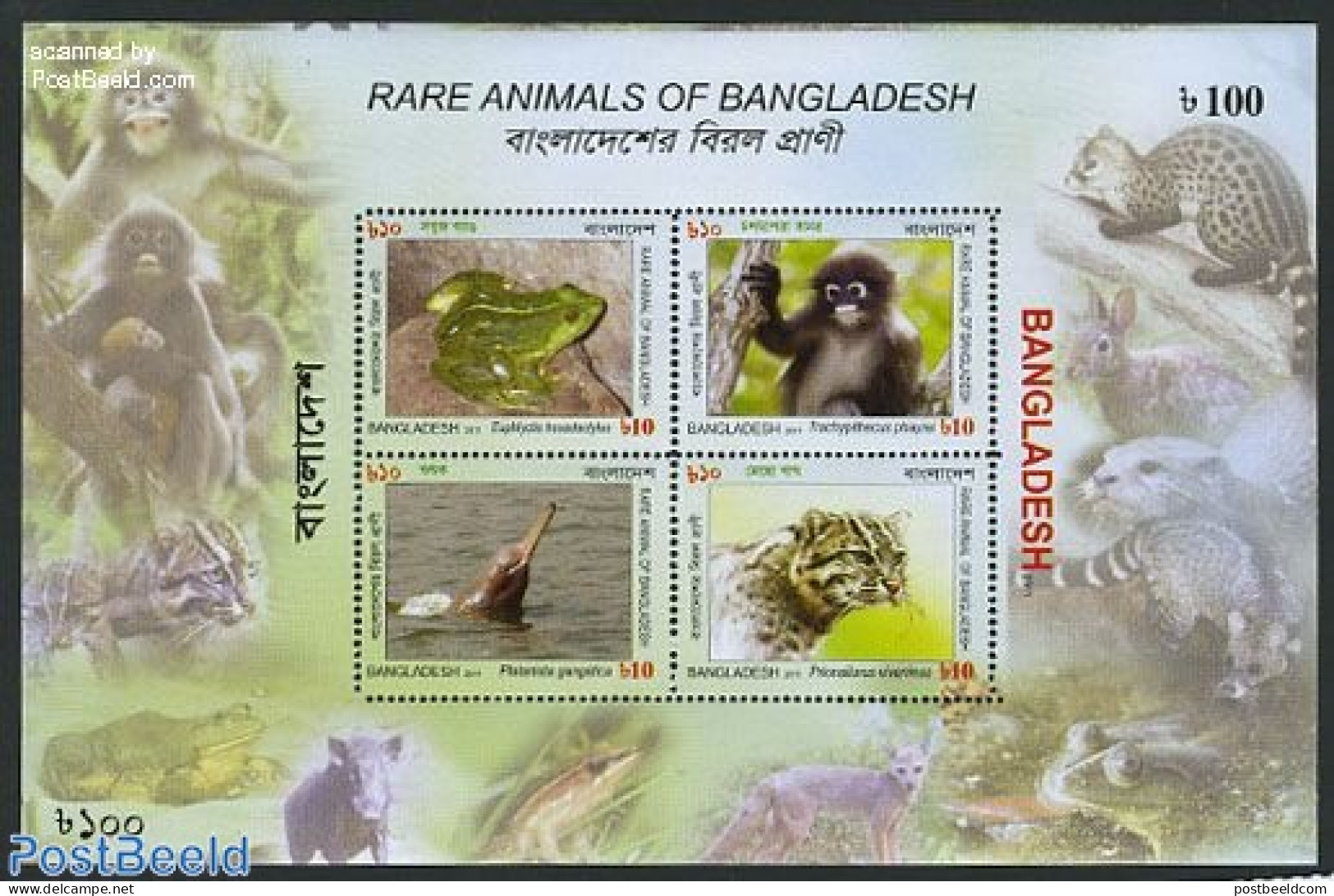 Bangladesh 2011 Rare Animals 4v M/s, Mint NH, Nature - Animals (others & Mixed) - Cat Family - Frogs & Toads - Monkeys.. - Bangladesch