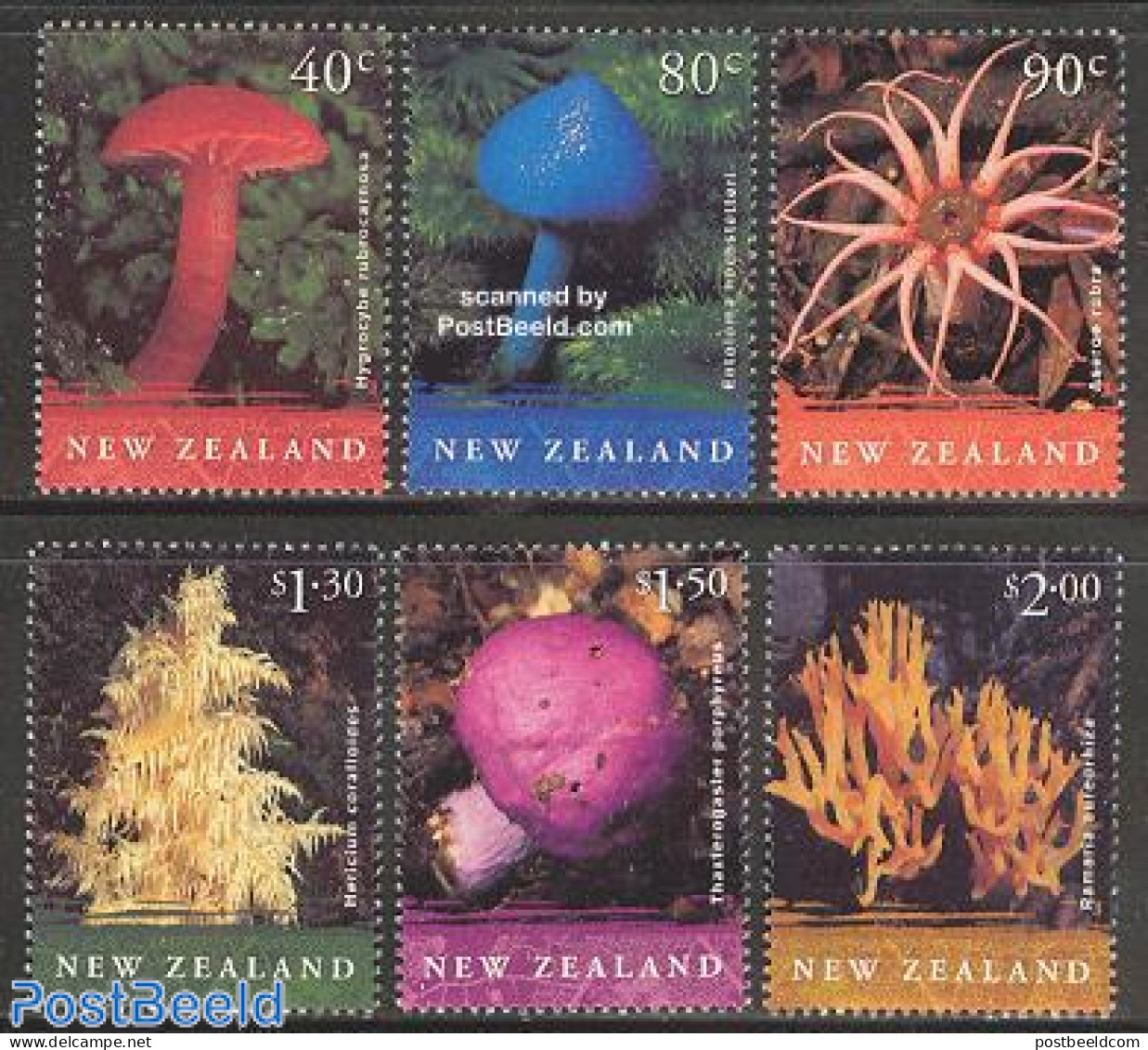 New Zealand 2002 Native Fungi 6v, Mint NH, Nature - Mushrooms - Ongebruikt