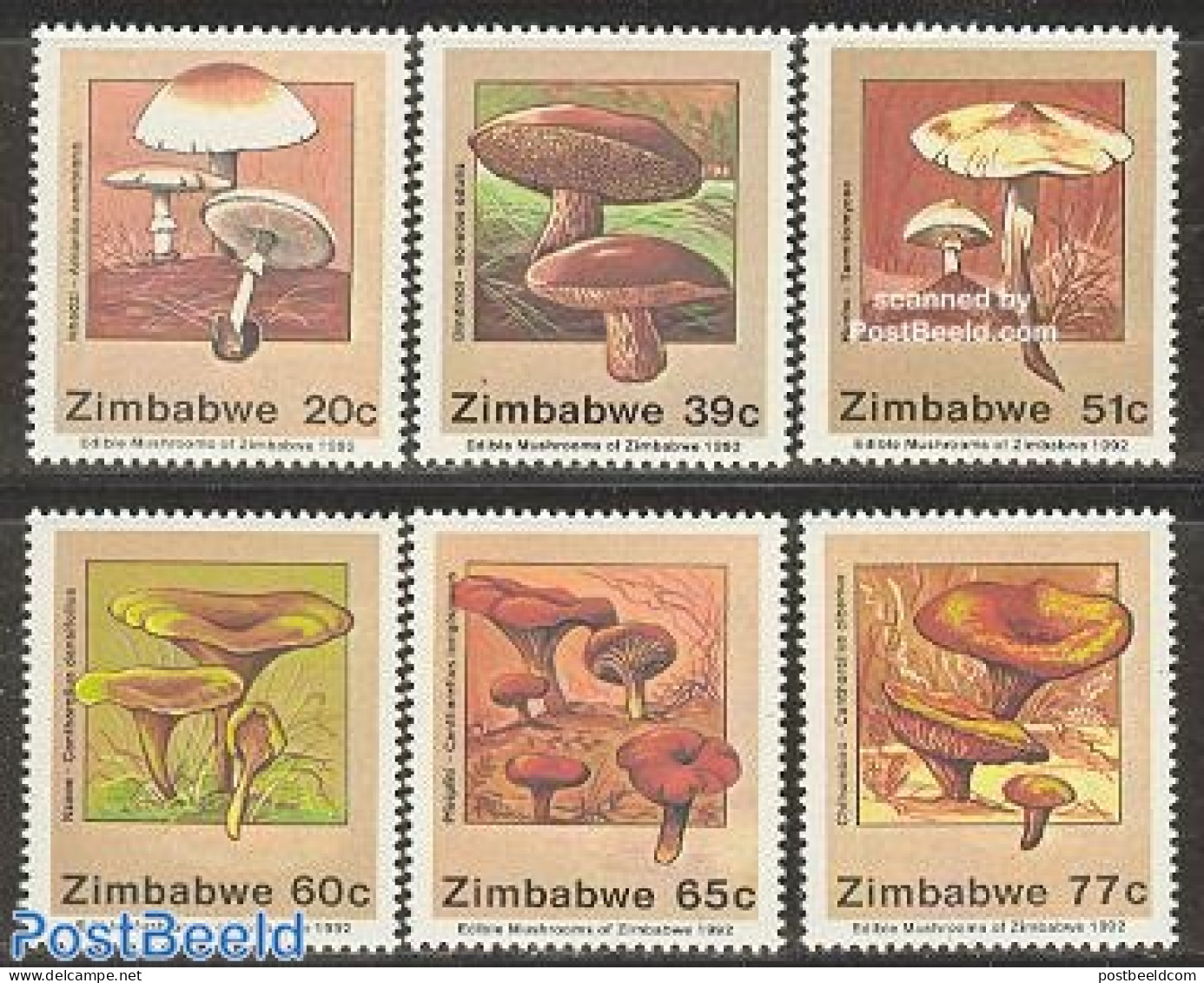 Zimbabwe 1992 Mushrooms 6v, Mint NH, Nature - Mushrooms - Pilze