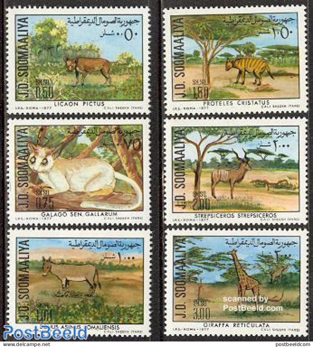 Somalia 1977 Nature Conservation 6v, Mint NH, Nature - Animals (others & Mixed) - Cats - Giraffe - Somalië (1960-...)
