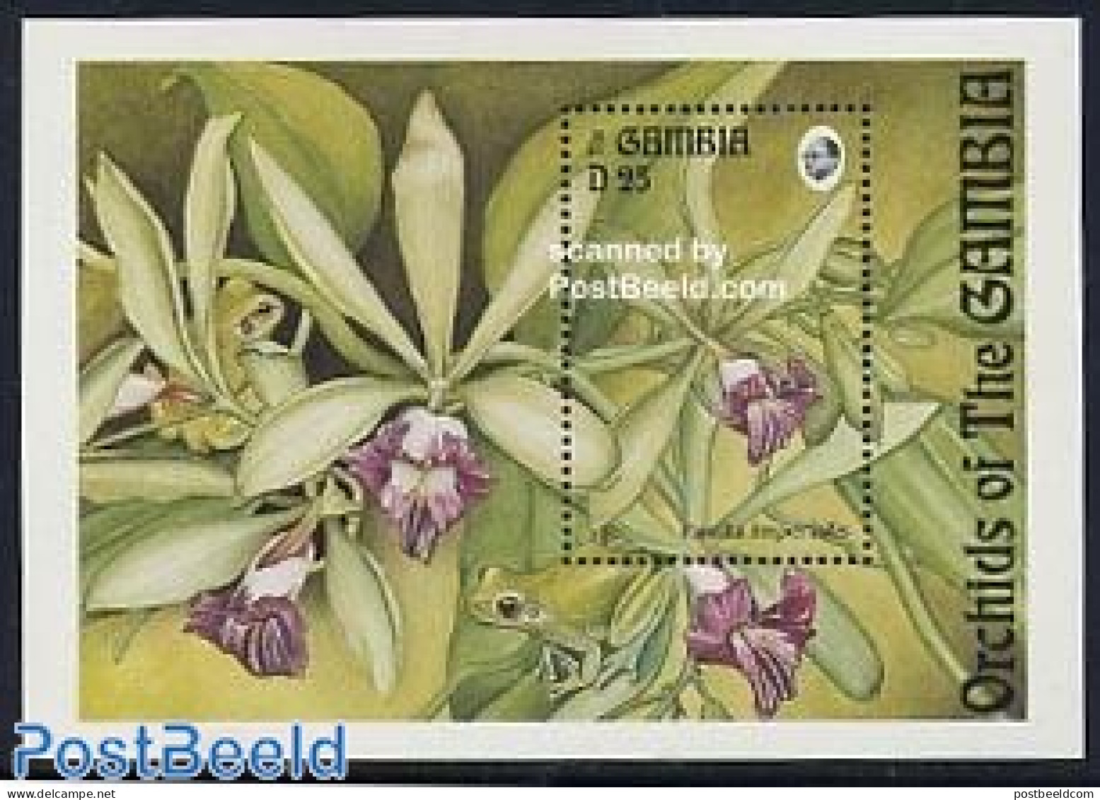 Gambia 1994 Orchids S/s, Vanilla Imperialis, Mint NH, Nature - Flowers & Plants - Gambie (...-1964)