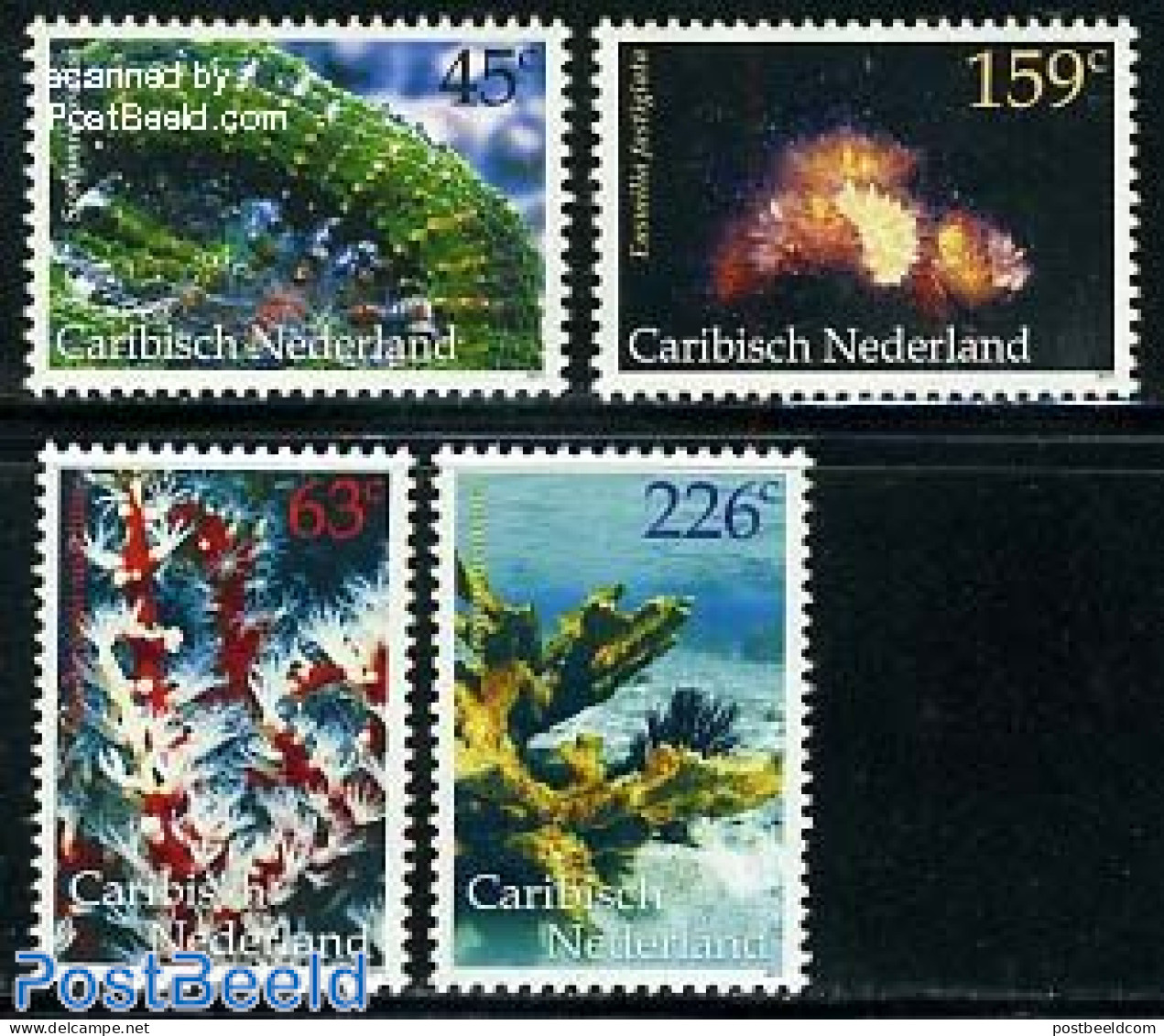 Dutch Caribbean 2011 Corals 4v, Mint NH, Nature - Shells & Crustaceans - Marine Life